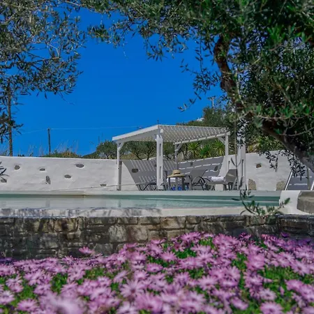 Villa Anthemion Paros - & Agia Irini (Paros)