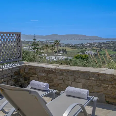 Anthemion Paros - &