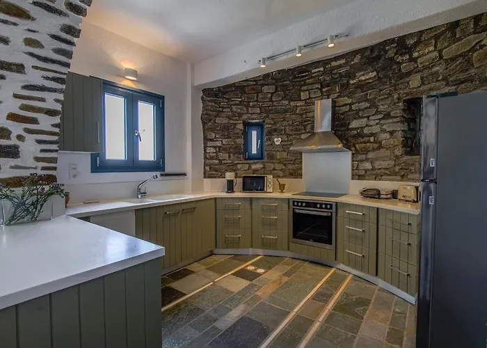 Vila Anthemion Paros - &