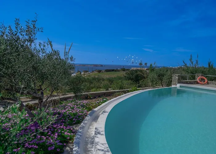 Anthemion Paros - & Vila