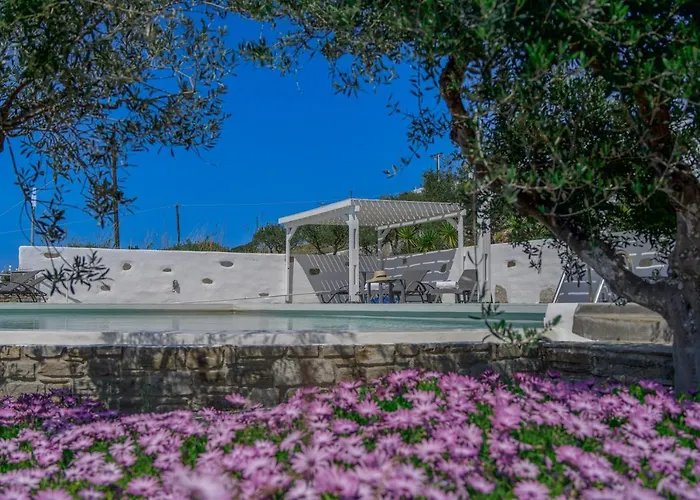 Vila Anthemion Paros - & Agia Irini (Paros)